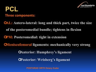 POSTGRAD ORTH Deiary Kader
PCL
Three components:
AL: Antero-lateral: long and thick part, twice the size
of the posteromedial bundle; tightens in flexion
PM: Posteromedial: tight in extension
Meniscofemoral ligaments: mechanically very strong
Anterior: Humphrey’s ligament
Posterior: Wrisberg’s ligament
 