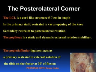 POSTGRAD ORTH Deiary Kader
The Posterolateral Corner
The LCL is a cord like structure 5-7 cm in length
Is the primary static restraint to varus opening of the knee
Secondary restraint to posterolateral rotation
The popliteus is a static and dynamic external rotation stabiliser.
The popletiofibular ligament acts as
a primary restraint to external rotation of
the tibia on the femur at 30º of flexion
25
 