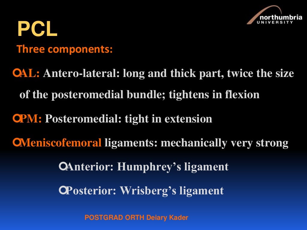 PCL, PLC, Knee Dislocation