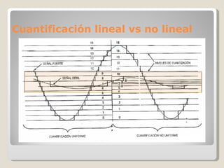 Cuantificación lineal vs no lineal 