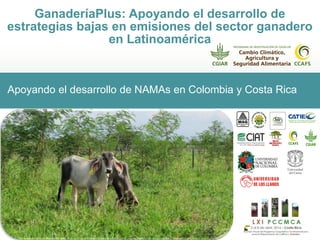 Apoyando el desarrollo de NAMAs en Colombia y Costa Rica
GanaderíaPlus: Apoyando el desarrollo de
estrategias bajas en emisiones del sector ganadero
en Latinoamérica
 