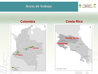 GanaderíaPlus: Apoyando el desarrollo de estrategias bajas en emisiones del sector ganadero en Latinoamérica