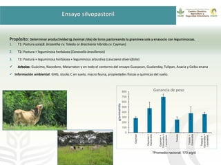 GanaderíaPlus: Apoyando el desarrollo de estrategias bajas en emisiones del sector ganadero en Latinoamérica