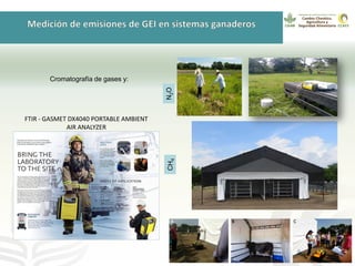 GanaderíaPlus: Apoyando el desarrollo de estrategias bajas en emisiones del sector ganadero en Latinoamérica