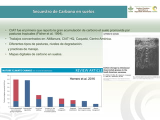 GanaderíaPlus: Apoyando el desarrollo de estrategias bajas en emisiones del sector ganadero en Latinoamérica