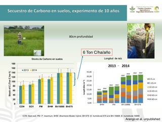 GanaderíaPlus: Apoyando el desarrollo de estrategias bajas en emisiones del sector ganadero en Latinoamérica