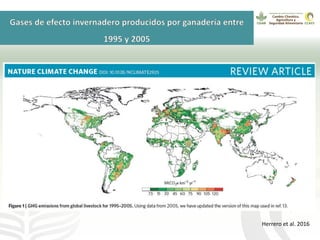 GanaderíaPlus: Apoyando el desarrollo de estrategias bajas en emisiones del sector ganadero en Latinoamérica