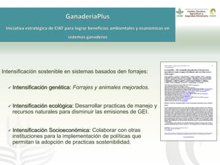 GanaderíaPlus: Apoyando el desarrollo de estrategias bajas en emisiones del sector ganadero en Latinoamérica