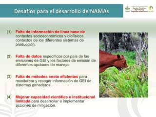 GanaderíaPlus: Apoyando el desarrollo de estrategias bajas en emisiones del sector ganadero en Latinoamérica