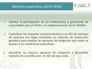 GanaderíaPlus: Apoyando el desarrollo de estrategias bajas en emisiones del sector ganadero en Latinoamérica