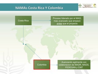 GanaderíaPlus: Apoyando el desarrollo de estrategias bajas en emisiones del sector ganadero en Latinoamérica