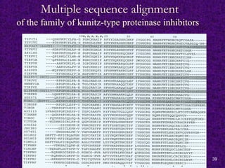 39
Multiple sequence alignment
of the family of kunitz-type proteinase inhibitors
 