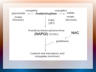 Paracetamol poisoning | PPT Paracetamol poisoning | PPT