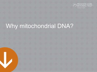 Why mitochondrial DNA?
 