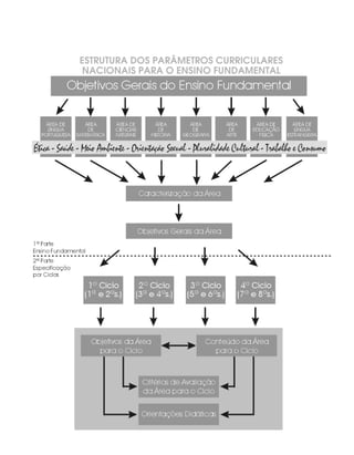 ESTRUTURA DOS PARÂMETROS CURRICULARES
 NACIONAIS PARA O ENSINO FUNDAMENTAL
 