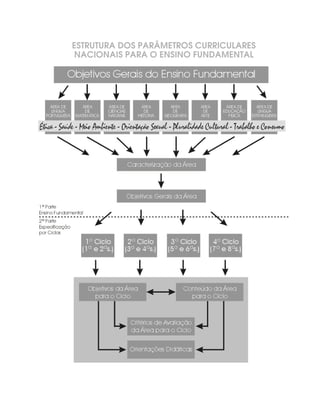 ESTRUTURA DOS PARÂMETROS CURRICULARES
 NACIONAIS PARA O ENSINO FUNDAMENTAL
 