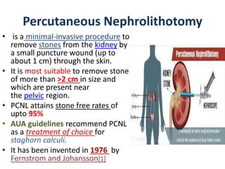 Percutaneous Nephrolithotomy Procedure