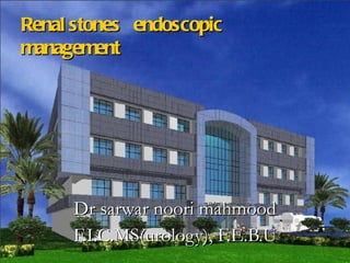 Renal stones  endoscopic  management         Dr sarwar noori mahmood F.I.C.MS(urology), F.E.B.U 