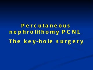 Percutaneous nephrolithomy PCNL  The key-hole surgery 