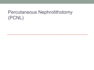 percutaneous nephrolithotomy presentation .pptx
