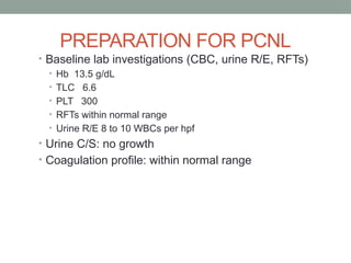percutaneous nephrolithotomy presentation .pptx