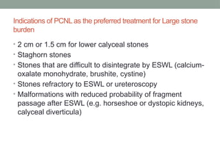 percutaneous nephrolithotomy presentation .pptx