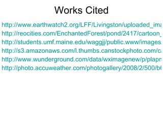 Works Cited http://www.earthwatch2.org/LFF/Livingston/uploaded_images/diving_ocean-792387.jpg http://reocities.com/EnchantedForest/pond/2417/cartoon_clouds_md_wht.jpg http://students.umf.maine.edu/waggjj/public.www/images/cartoon_plant_01.jpg http://s3.amazonaws.com/l.thumbs.canstockphoto.com/canstock0699336.jpg http://www.wunderground.com/data/wximagenew/p/plapman/79.jpg http://photo.accuweather.com/photogallery/2008/2/500/b68fcc982.jpg 