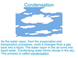 Condensation As the water vapor, from the evaporation and transpiration processes, cools it changes from a gas back into a liquid. The water vapor in the air turns into liquid water. Condensing water forms clouds in the sky. This process is called  condensation .  