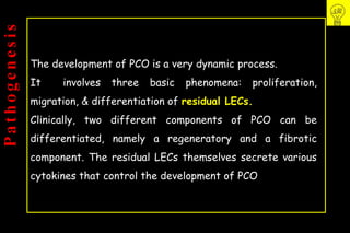Pco - by dr. Heba mahmoud (M D)