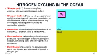 NITROGEN CYCLING IN THE OCEAN
• Nitrogen gas (N2) from the atmosphere
dissolves into seawater at the ocean surface.
• Nitrogen fixation: Dissolved nitrogen gas is taken
up by just a few types microbes and convert nitrogen
into ammonium (NH4+).When microbes die, they
decompose, releasing ammonium into the
surrounding seawater.
• Nitrification: Some microbes convert ammonium to
nitrite (NO2-) and then nitrite to nitrate (NO3-).
• Remineralization: A host of organisms consume
particulate organic nitrogen and dissolved organic
nitrogen, converting some of the nitrogen back to
ammonium.
• Denitrification: To complete this complex cycle,
some microbes convert nitrate and nitrite back to
nitrogen gas.
6/6/2023 43
 