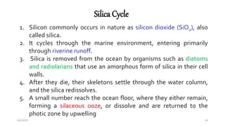 Silica Cycle
6/6/2023 46
1. Silicon commonly occurs in nature as silicon dioxide (SiO2), also
called silica.
2. It cycles through the marine environment, entering primarily
through riverine runoff.
3. Silica is removed from the ocean by organisms such as diatoms
and radiolarians that use an amorphous form of silica in their cell
walls.
4. After they die, their skeletons settle through the water column,
and the silica redissolves.
5. A small number reach the ocean floor, where they either remain,
forming a silaceous ooze, or dissolve and are returned to the
photic zone by upwelling
 