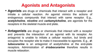 PCO 351- Pharmacodynamics and pharmacology | PPTX