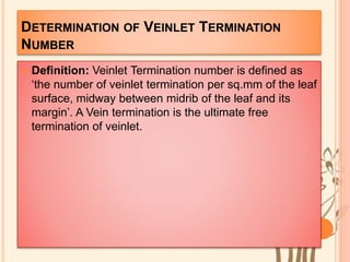 DETERMINATION OF VEINLET TERMINATION
NUMBER
 Definition: Veinlet Termination number is defined as
‘the number of veinlet termination per sq.mm of the leaf
surface, midway between midrib of the leaf and its
margin’. A Vein termination is the ultimate free
termination of veinlet.
 