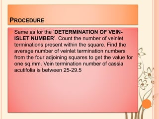 PROCEDURE
 Same as for the ‘DETERMINATION OF VEIN-
ISLET NUMBER’. Count the number of veinlet
terminations present within the square. Find the
average number of veinlet termination numbers
from the four adjoining squares to get the value for
one sq.mm. Vein termination number of cassia
acutifolia is between 25-29.5
 