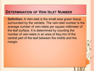 DETERMINATION OF VEIN ISLET NUMBER
 Definition: A Vein-islet is the small area green tissue
surrounded by the veinlets. The vein-islet number is the
average number of vein-islets per square millimeter of
the leaf surface. It is determined by counting the
number of vein-islets in an area of 4sq.mm of the
central part of the leaf between the midrib and the
margin.
 