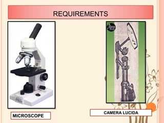 REQUIREMENTS
MICROSCOPE
CAMERA LUCIDA
 