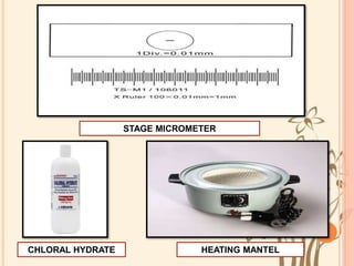STAGE MICROMETER
CHLORAL HYDRATE HEATING MANTEL
 