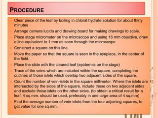 PROCEDURE
 Clear piece of the leaf by boiling in chloral hydrate solution for about thirty
minutes
 Arrange camera lucida and drawing board for making drawings to scale.
 Place stage micrometer on the microscope and using 16 mm objective, draw
a line equivalent to 1 mm as seen through the microscope
 Construct a square on this line.
 Move the paper so that the square is seen in the eyepiece, in the center of
the field.
 Place the slide with the cleared leaf (epidermis on the stage)
 Trace of the veins which are included within the square, completing the
outlines of those islets which overlap two adjacent sides of the square.
 Count the number of vein-islets in the square millimeter. Where the islets are
intersected by the sides of the square, include those on two adjacent sides
and exclude those islets on the other sides. (to obtain a critical result for a
leaf, 4 sq.mm. should be used, preferably in one large area of 4 sq.mm)
 Find the average number of vein-islets from the four adjoining squares, to
get value for one sq.mm.
 