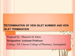 DETERMINATION OF VEIN ISLET NUMBER AND VEIN
ISLET TERMINATION
Prepared by : Masarrat M. Khan.
Designation: Assistant Professor
College: YB. Chavan College of Pharmacy, Aurangabad.
 