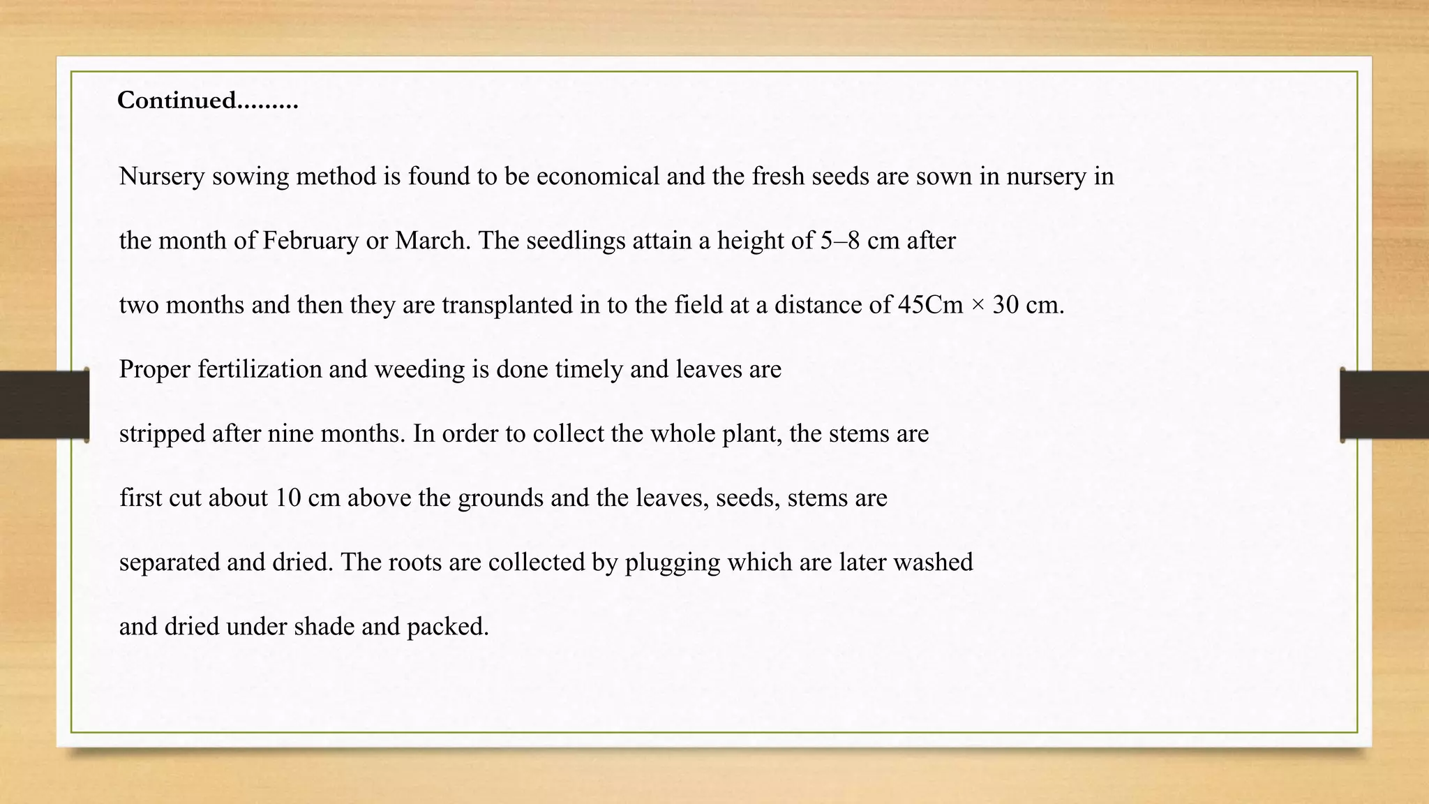 Nursery sowing method is found to be economical and the fresh seeds are sown in nursery in
the month of February or March. The seedlings attain a height of 5–8 cm after
two months and then they are transplanted in to the field at a distance of 45Cm × 30 cm.
Proper fertilization and weeding is done timely and leaves are
stripped after nine months. In order to collect the whole plant, the stems are
first cut about 10 cm above the grounds and the leaves, seeds, stems are
separated and dried. The roots are collected by plugging which are later washed
and dried under shade and packed.
Continued.........
 