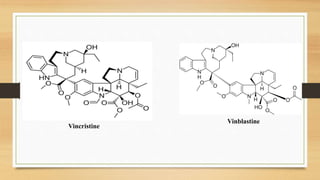 Vinblastine
Vincristine
 