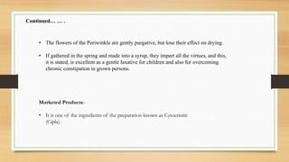 • The flowers of the Periwinkle are gently purgative, but lose their effect on drying.
• If gathered in the spring and made into a syrup, they impart all the virtues, and this,
it is stated, is excellent as a gentle laxative for children and also for overcoming
chronic constipation in grown persons.
Continued… … .
Marketed Products:-
• It is one of the ingredients of the preparation known as Cytocristin
(Cipla).
 