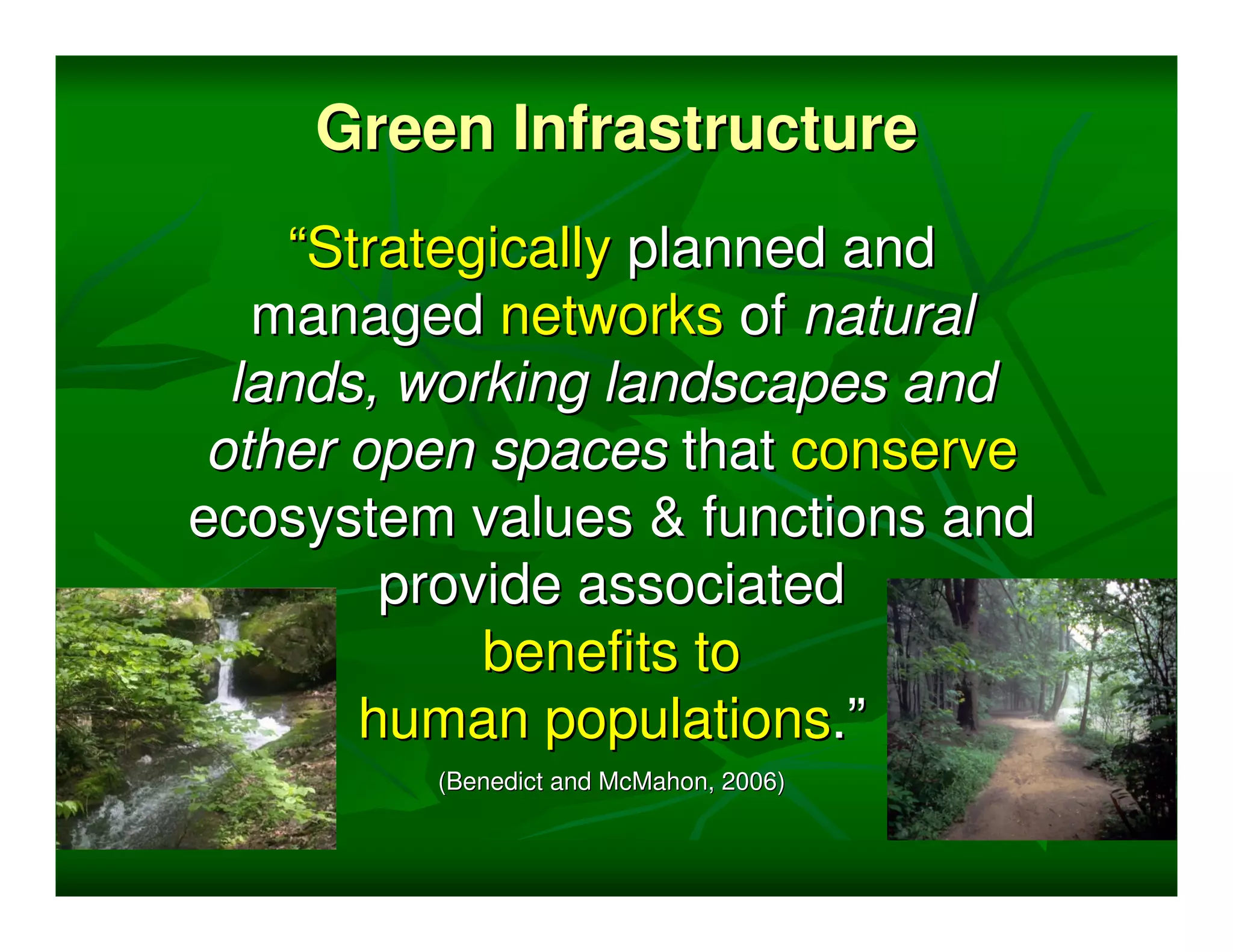 Green Infrastructure
    “Strategically planned and
   managed networks of natural
  lands, working landscapes and
 other open spaces that conserve
ecosystem values & functions and
        provide associated
            benefits to
       human populations.”
         (Benedict and McMahon, 2006)
 