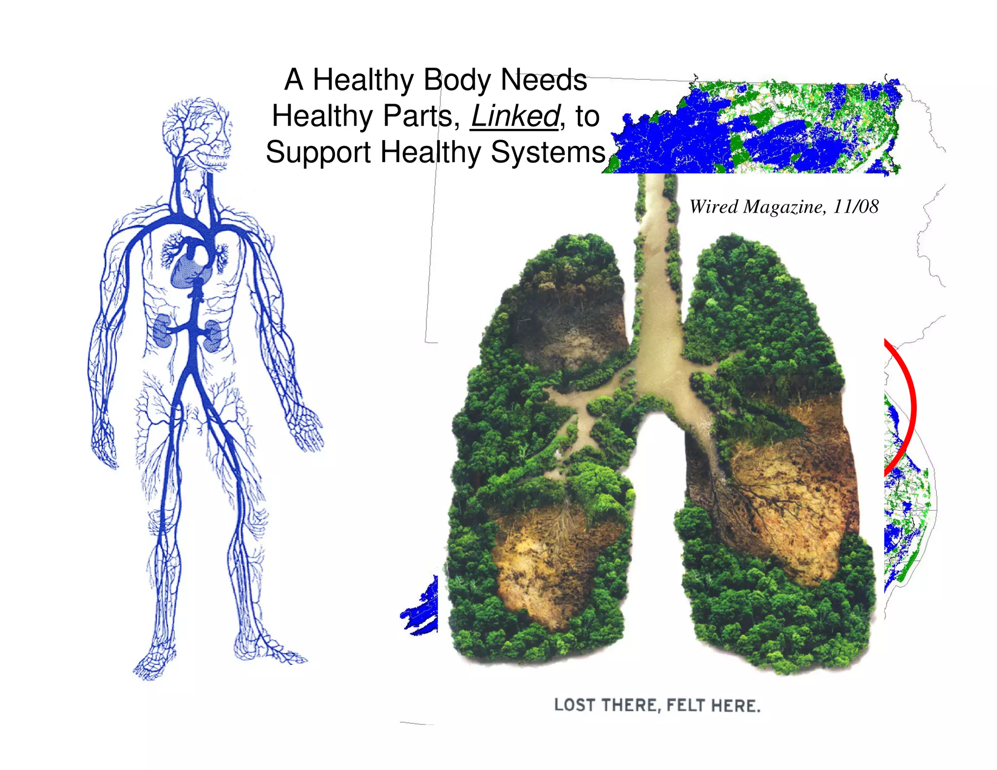 A Healthy Body Needs
Healthy Parts, Linked, to
Support Healthy Systems
                            Wired Magazine, 11/08
 