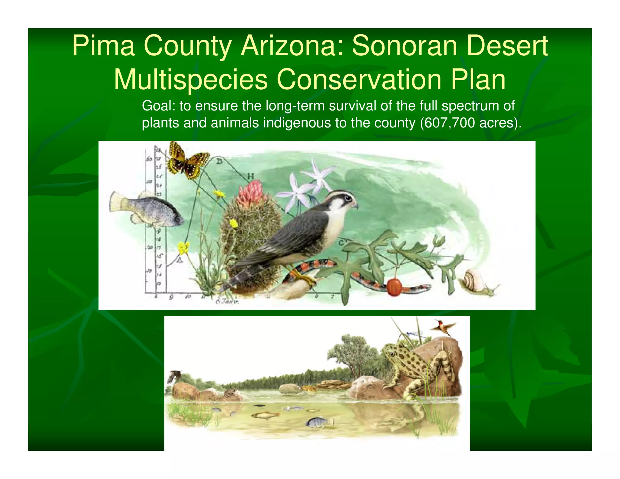Pima County Arizona: Sonoran Desert
   Multispecies Conservation Plan
     Goal: to ensure the long-term survival of the full spectrum of
     plants and animals indigenous to the county (607,700 acres).
 
