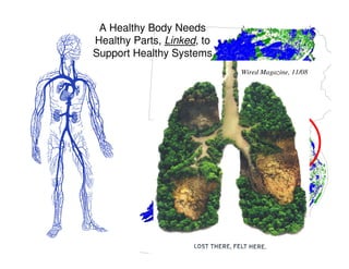 A Healthy Body Needs
Healthy Parts, Linked, to
Support Healthy Systems
                            Wired Magazine, 11/08
 