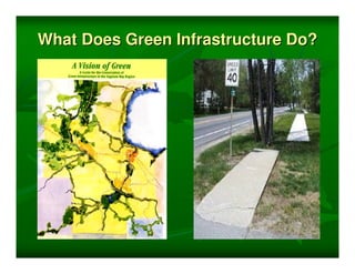 What Does Green Infrastructure Do?
 