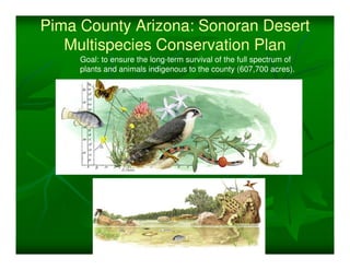 Pima County Arizona: Sonoran Desert
   Multispecies Conservation Plan
     Goal: to ensure the long-term survival of the full spectrum of
     plants and animals indigenous to the county (607,700 acres).
 