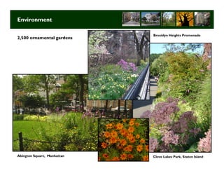 Environment

                             Brooklyn Heights Promenade
2,500 ornamental gardens




Abington Square, Manhattan   Clove Lakes Park, Staten Island
                                     Long Term Strategic Planning 10
 