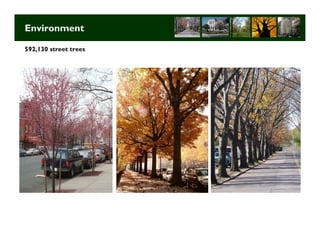 Environment

592,130 street trees




                       Long Term Strategic Planning 12
 